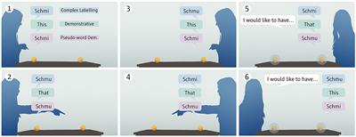 Children's understanding of demonstratives: an experimental study with German-speaking children between 5 and 7 years of age